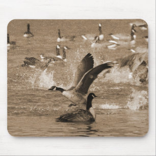 Kanada-Gänse Mousepad