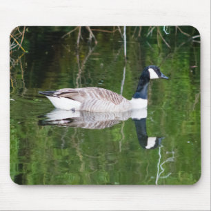 Kanada Gänse Mousepad