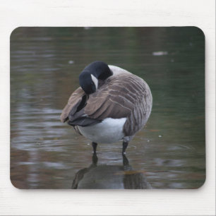 Kanada Gänse Mousepad