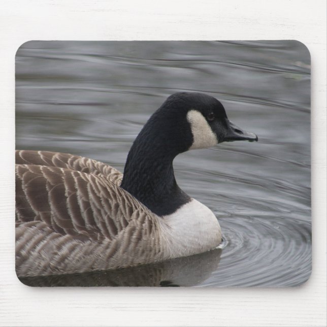 Kanada Gänse Mousepad (Vorne)
