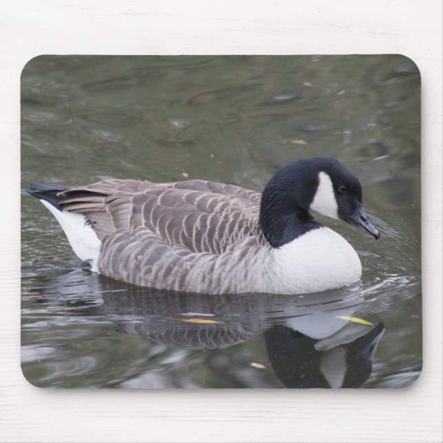 Kanada Gänse Mousepad (Vorne)