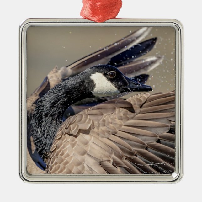 Kanada Gänse Ornament Aus Metall (Vorne)