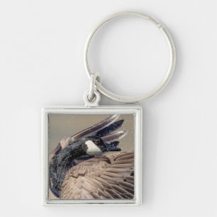 Kanada Gänse Schlüsselanhänger