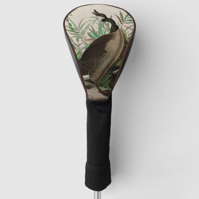 Kanada Gänse Vögel Amerika Audubon Print Golf Headcover (Vorderseite)