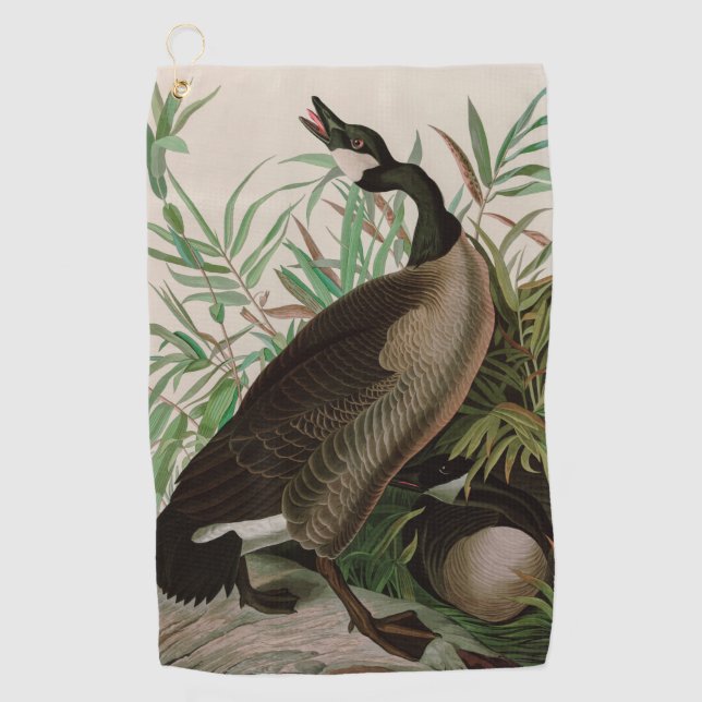 Kanada Gänse Vögel Amerika Audubon Print Golfhandtuch (Vorderseite)