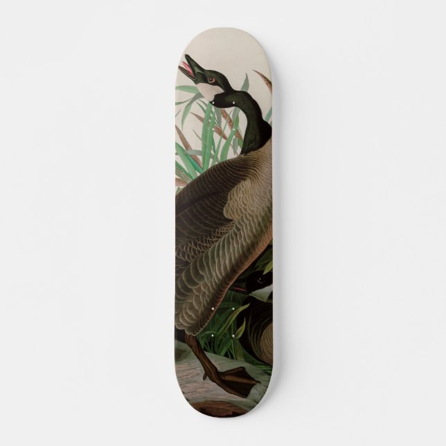 Kanada Gänse Vögel Amerika Audubon Print Skateboard (Vorne)