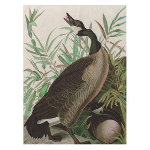 Kanada Gänse Vögel Amerika Audubon Print Tischdecke