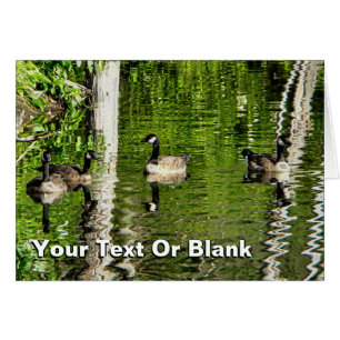 (Kanada) Gänsegrün