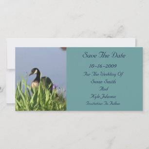 Kanada Gänsehälte Hochzeit retten Datum Save The Date