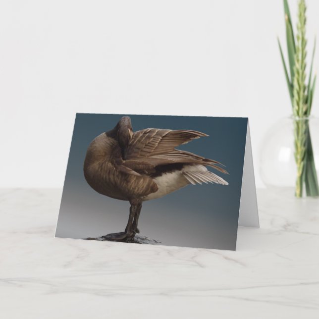 Kanada Gänsekarten Kanada Grießkarten Karte (Vorderseite)