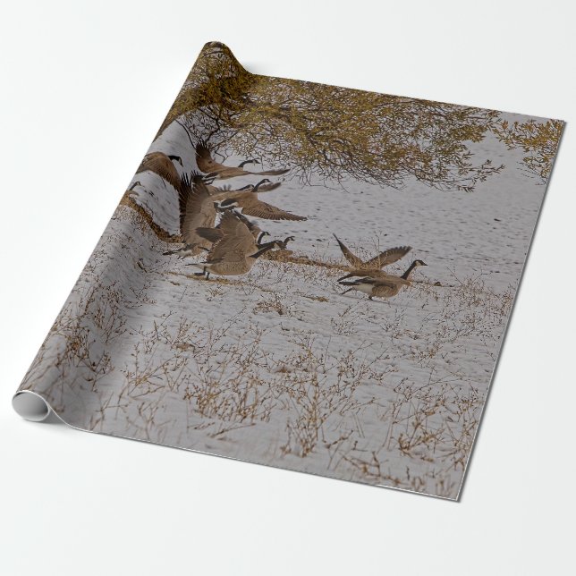 KANADA GEESE GESCHENKPAPIER (Ungerollt)