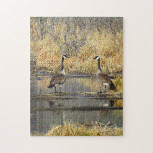 Kanada Geese Puzzle