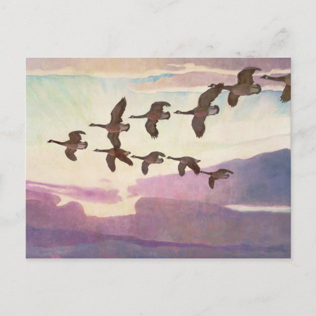 Kanada Geflügel im Frühjahr von Newell Convers Wye Postkarte (Vorderseite)