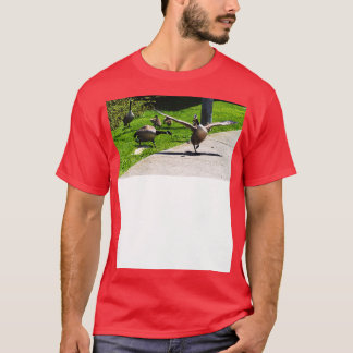 Kanada Goose Honig auf andere Gänsehaut Spread T T-Shirt