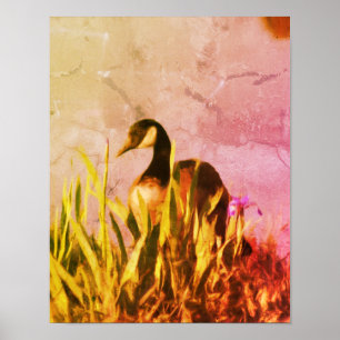 Kanada Goose Ire Distressed Nature Art Poster