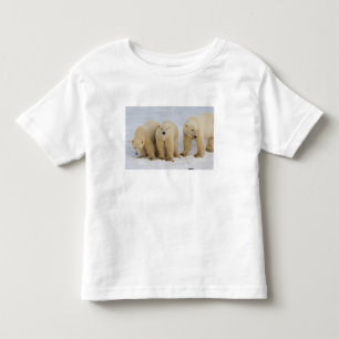 Kanada, Hudson Bay. Eisbär-Mutter mit zwei Kleinkind T-shirt