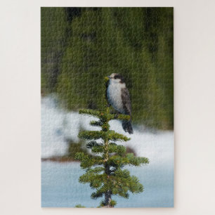 Kanada Jay Puzzle