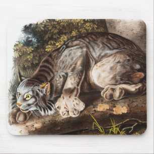 Kanada-Luchs (Lynx Canadensis) Illustration Mousepad