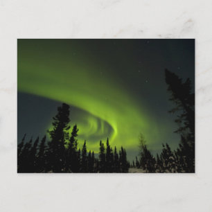 Kanada, Manitoba. Blick auf Aurora borealis und Postkarte