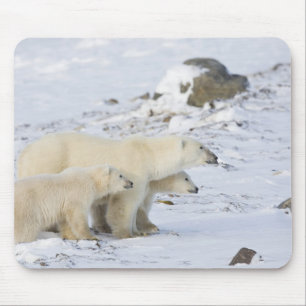 Kanada, Manitoba, Churchill. 4 Mousepad