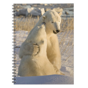 Kanada, Manitoba, Hudson Bay, Churchill. Notizblock