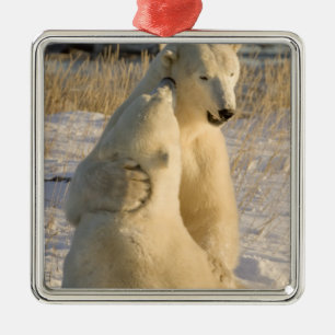 Kanada, Manitoba, Hudson Bay, Churchill. Silbernes Ornament