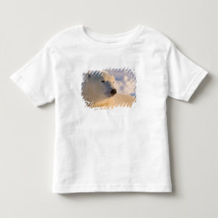 Kanada, Manitoba, Hudson Bay Eisbär Kleinkind T-shirt