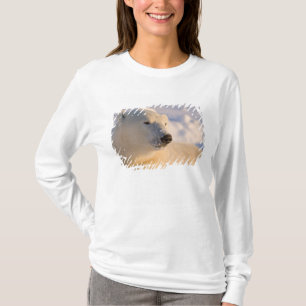 Kanada, Manitoba, Hudson Bay Eisbär T-Shirt