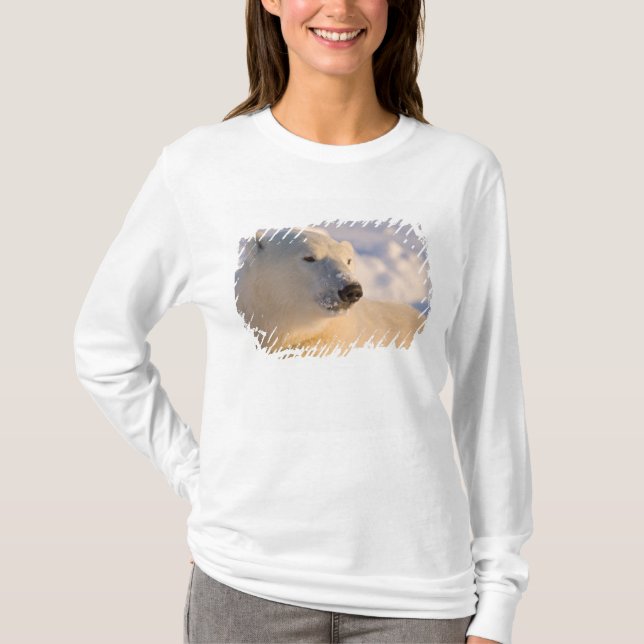 Kanada, Manitoba, Hudson Bay | Polar Bear T-Shirt (Vorderseite)