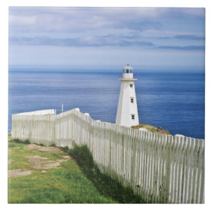 Kanada, Neufundland, Cape Spear National 2 Fliese