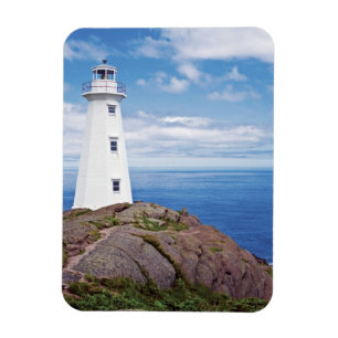 Kanada, Neufundland, Cape Spear National Magnet