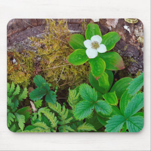 Kanada, New Brunswick, , 2 Mousepad