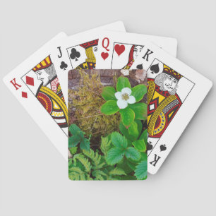 Kanada, New Brunswick, , 2 Spielkarten