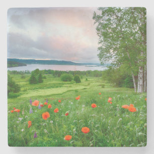 Kanada, New Brunswick, ,  3 Steinuntersetzer