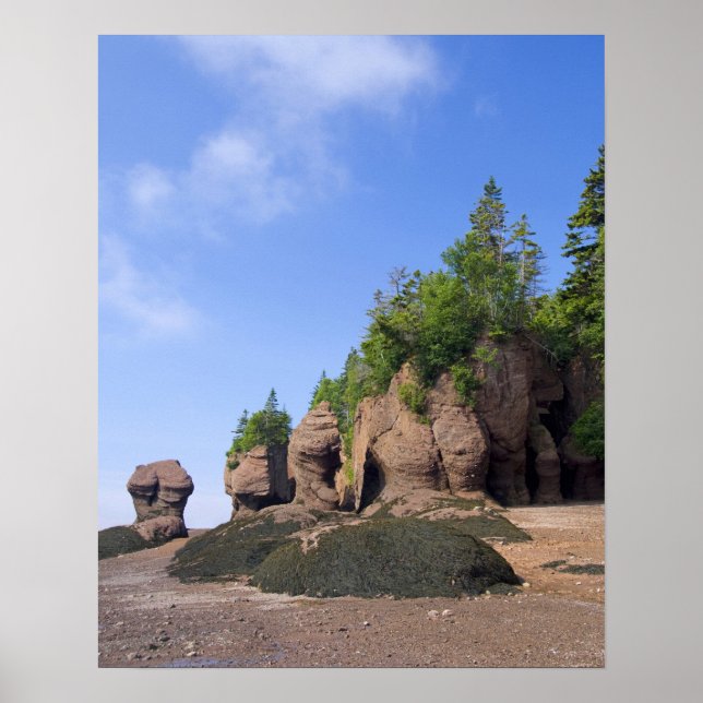 Kanada, New Brunswick, Hopewell Cape, Bay of Poster (Vorne)