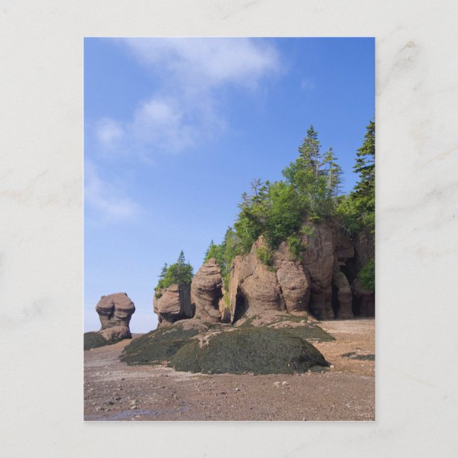 Kanada, New Brunswick, Hopewell Cape, Bay of Postkarte (Vorderseite)