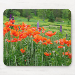 Kanada, New Brunswick, . Landschaft Mousepad