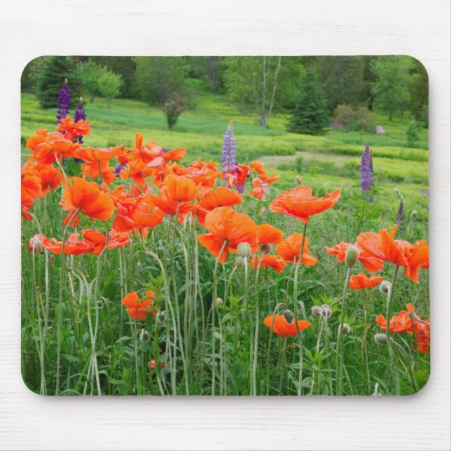 Kanada, New Brunswick, . Landschaft Mousepad (Vorne)