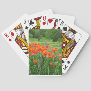 Kanada, New Brunswick, . Landschaft Spielkarten