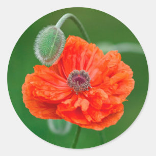 Kanada, New Brunswick, Runder Aufkleber