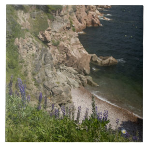 Kanada, Nova Scotia, Cape Breton Island, Cabot 3 Fliese
