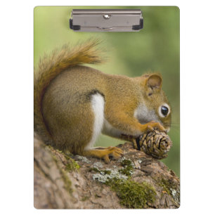 Kanada, Nova Scotia, Halifax. Öffentliche Gärten, Klemmbrett