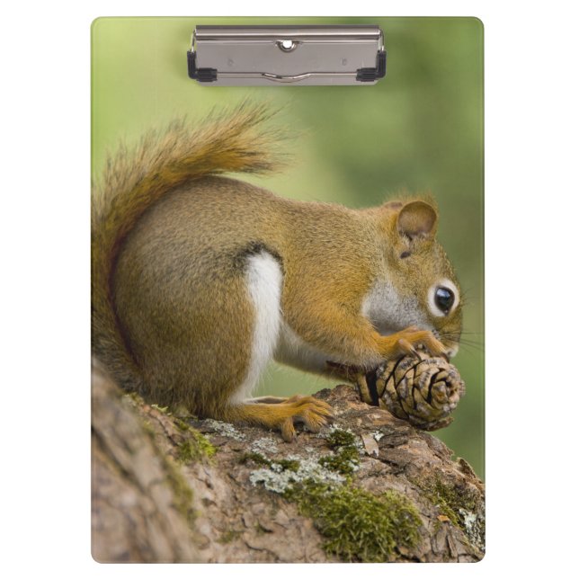 Kanada, Nova Scotia, Halifax. Öffentliche Gärten, Klemmbrett (Vorderseite)