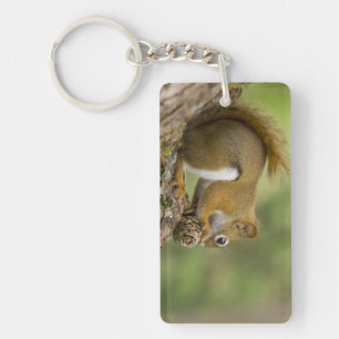 Kanada, Nova Scotia, Halifax. Öffentliche Gärten, Schlüsselanhänger