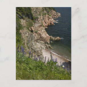 Kanada, Nova Scotia, Kapbretonische Insel, Cabot 3 Postkarte