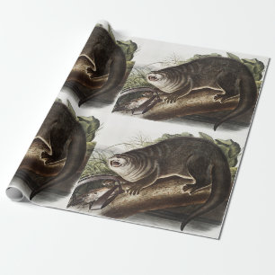 Kanada-Otter-Illustration (Lutra Canadensis) Geschenkpapier