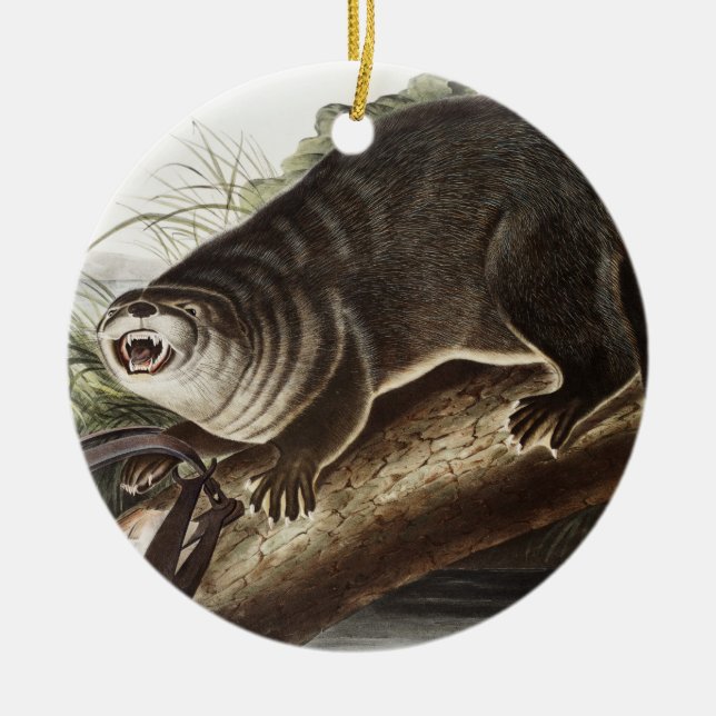 Kanada-Otter-Illustration (Lutra Canadensis) Keramik Ornament (Vorne)