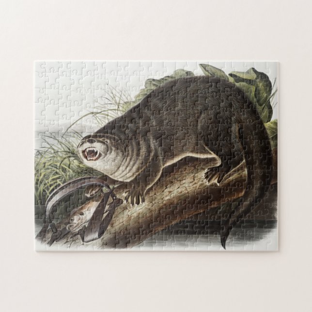 Kanada-Otter-Illustration (Lutra Canadensis) Puzzle (Horizontal)