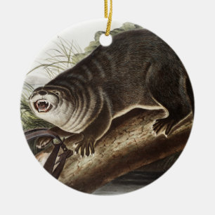 Kanada-Otter (Lutra Canadensis) Illustration Keramik Ornament