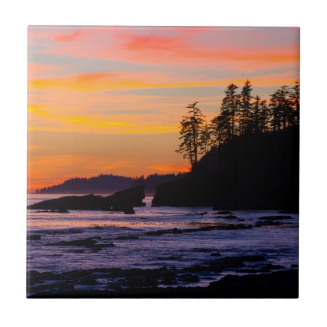 Kanada, Pacific Rim National Park Reserve, West Fliese (Vorderseite)